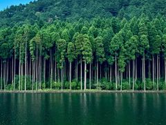 -明月山风景名胜区