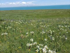 -青海湖国家重点风景名胜区