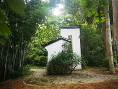 -金山植物公园