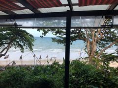 -卷心菜和避孕套餐厅(Pattaya)