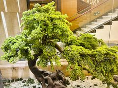 -华夏良子·足道SPA艾灸(翠微店)