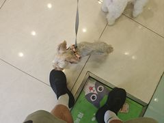 -悦宠凯宝动物医院·牙科·皮肤科(朝阳北路店)