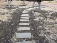 -南关北海公园