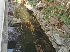 -西林禅寺