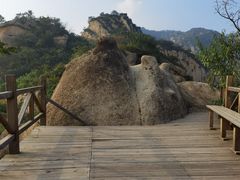 -大岭沟猕猴桃谷风景区