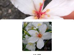 -神光山国家森林公园