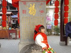 -茯茶镇