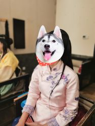 -盘子女人坊古装写真摄影(天津总店)