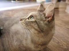 -小时光咖啡馆(开森度假森林店)