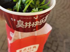 -黑色经典臭豆腐·湖南特产(步行街店)