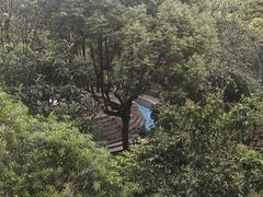 -广州神农草堂中医药博物馆