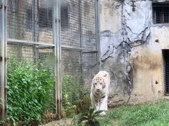 -黔灵山公园