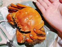 清蒸大闸蟹-成隆行·蟹王府(九江路店)