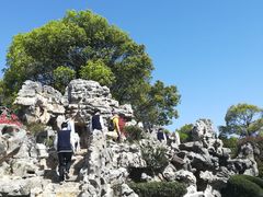 -上海鲜花港