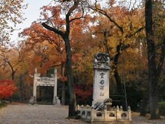 -灵谷景区
