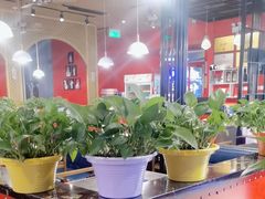 -骨气鼓气羊棒骨·羊蝎子(住总万科广场店)