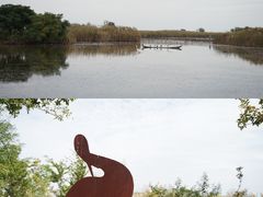 -盐城丹顶鹤湿地生态旅游区