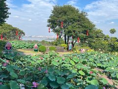 -广州莲花山旅游区