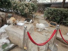 -李叔同故居纪念馆