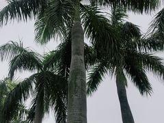 -海珠儿童公园
