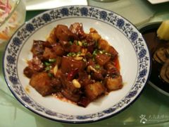 -百好乐宠物友好餐厅(朝外大街店)