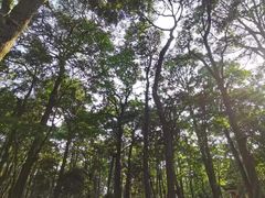 -昆明市金殿名胜区