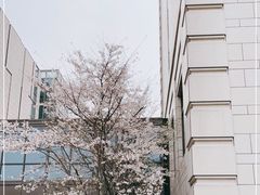 -杭州城中香格里拉大酒店