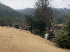 -桃花岭景区