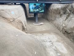 -金沙遗址博物馆
