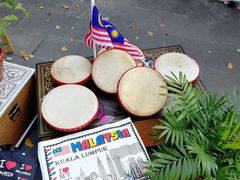 -上海德威外籍人员子女学校(浦东校区)