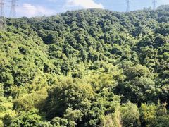 -大屏嶂森林公园