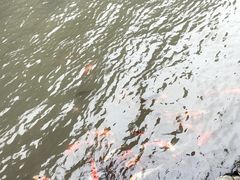 -刘伯温故里景区百丈漈