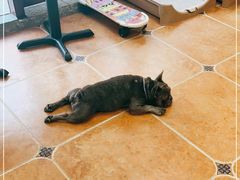 -柯斗斗主题餐厅·狗咖·围炉煮茶·茶饮(国瑞升平里店)