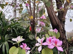 -广州花园酒店