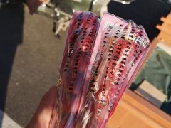 -和禄德冰糖葫芦