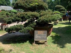 -黄海国家森林公园