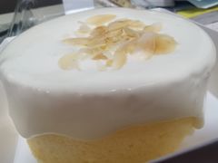 -糕小爱·动物奶油生日蛋糕定制(合肥总店)
