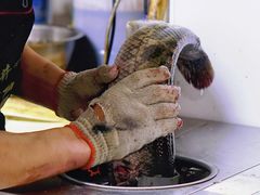 -金三可市井水煮鱼(金碧园店)