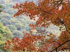 -广州市石门国家森林公园