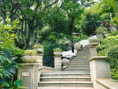 -深圳东部华侨城茵特拉根酒店