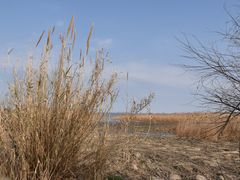-上海吴淞炮台湾国家湿地公园