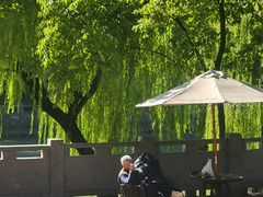 -运河游船(武林门码头)