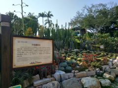 -胡里山炮台