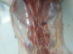 -老字号黄妹火盆烧烤