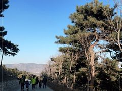 -北京西山国家森林公园