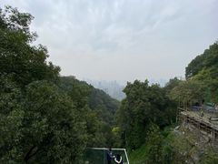 -南山植物园