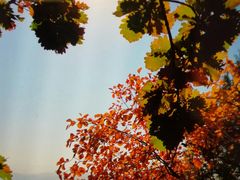 -北京十三陵国家森林公园蟒山景区