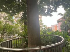 -广州神农草堂中医药博物馆