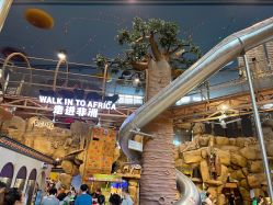 -卡通尼·Safari非洲探索乐园·生日会(金桥国际商业广场店)