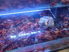 -虾铺子龙虾·私房菜(金源花苑店)